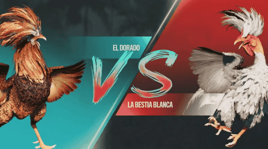 brnbetsit Cassinos de videogames